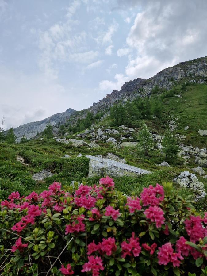 Almgasthaus Glocknerblick Гроскирххайм Экстерьер фото